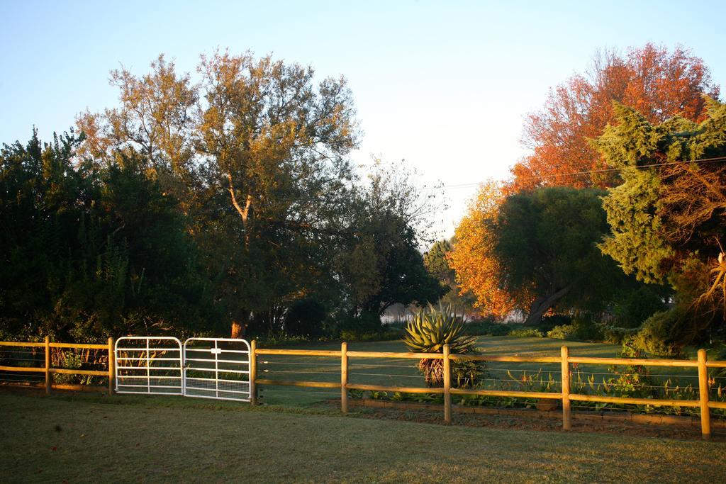 Sneezewood Farm Bed&Breakfast And Self-Catering Cottage Dundee Zewnętrze zdjęcie