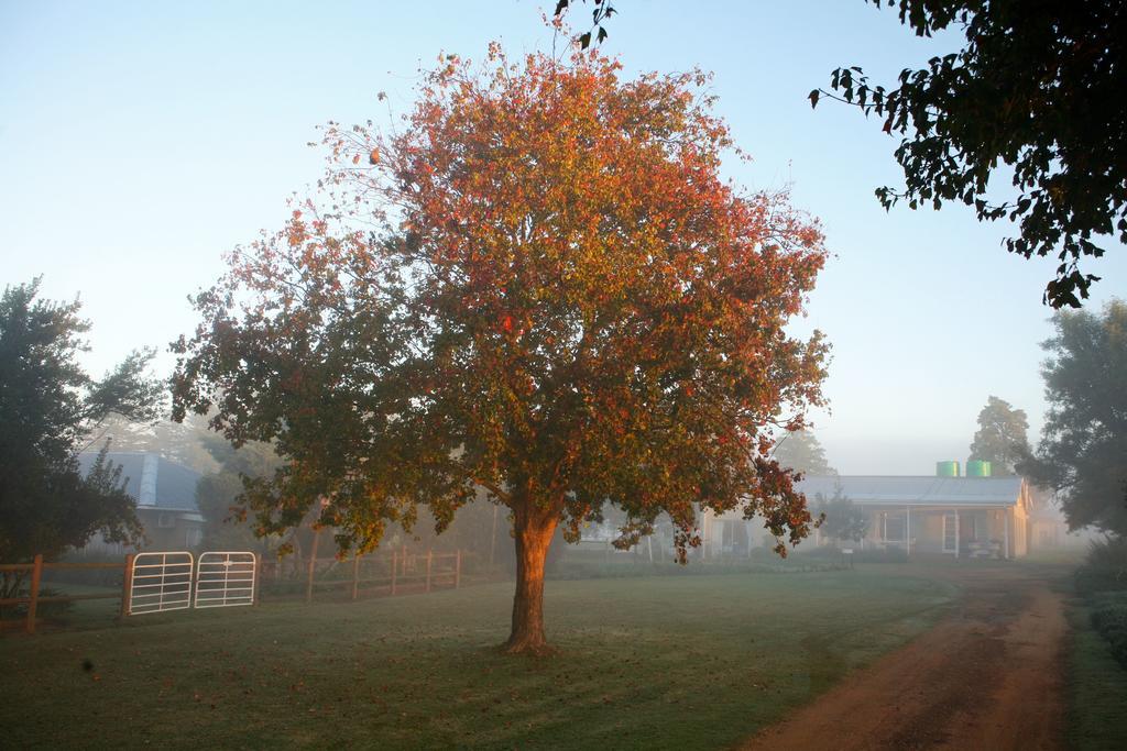 Sneezewood Farm Bed&Breakfast And Self-Catering Cottage Dundee Zewnętrze zdjęcie